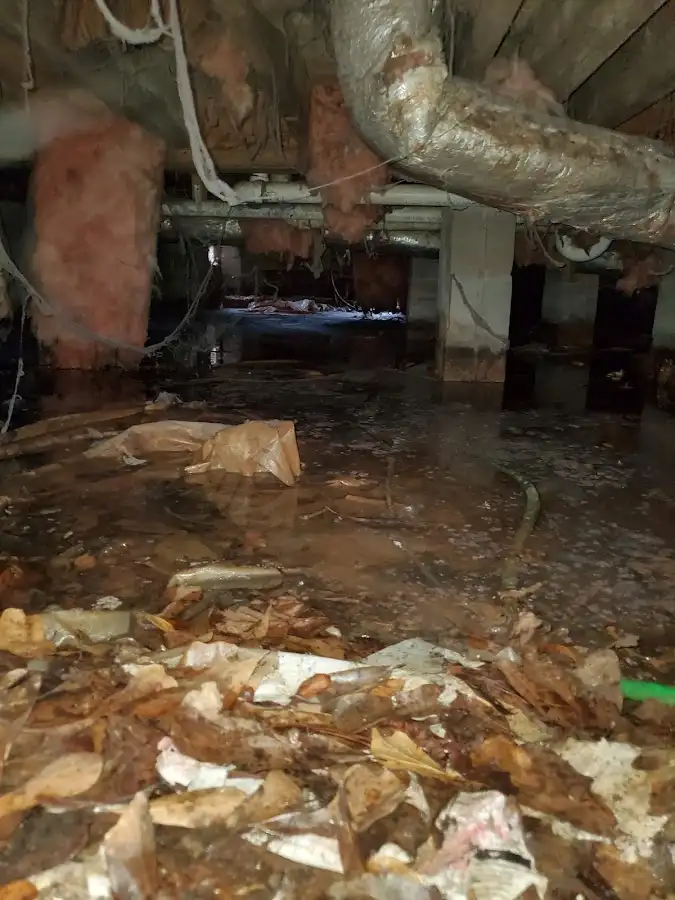 Crawl space flood assessment for Leak Detection & Repair in Ocean